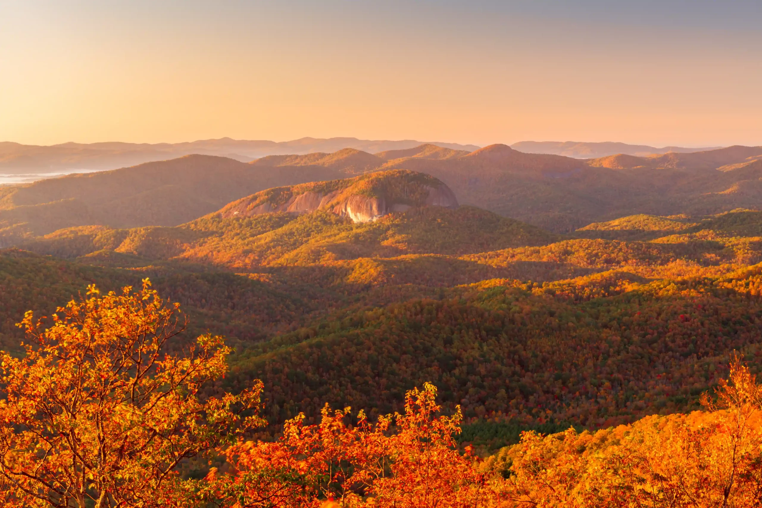 SFLR North Carolina